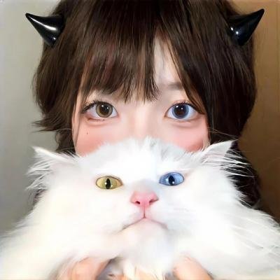 精武飞鸿
