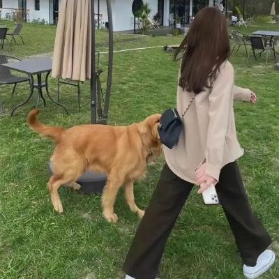 学园默示录